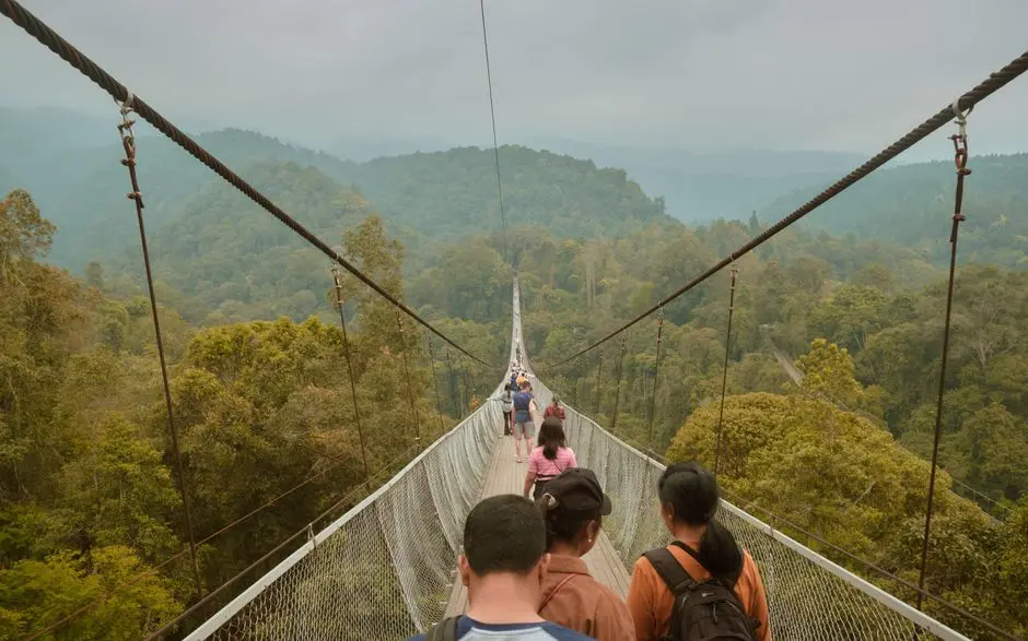 Wisatawan pemula berjalan santai di kawasan wisata alam yang teduh
